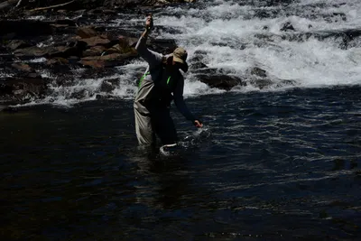 DSC_9930 (Large).JPG